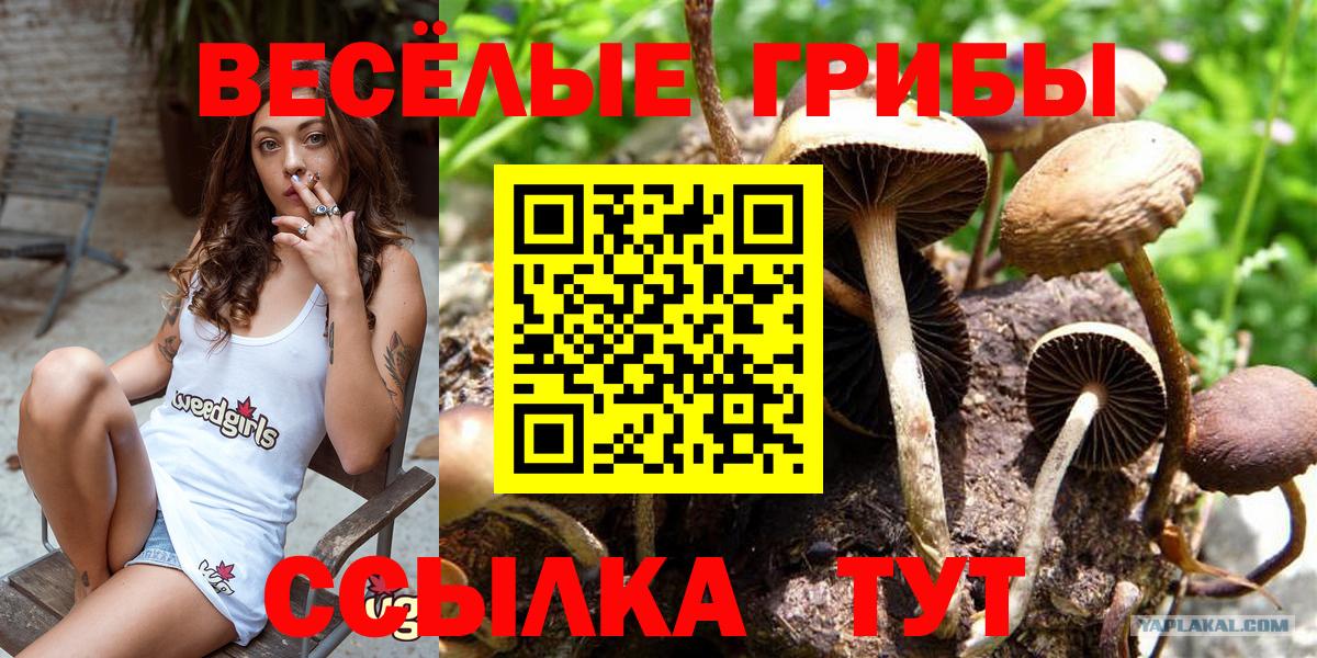Сердобск  Псилоцибиновые грибы ЛСД  Вход с VPN  закладка  Галлюциногенные грибы мухоморы 
