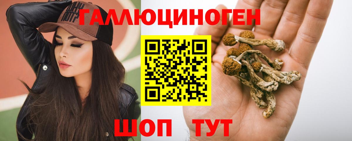 Галлюциногенные грибы Psilocybine cubensis Сердобск